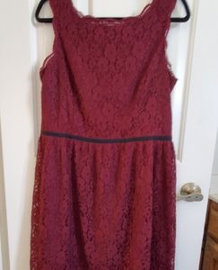 Lace Dress NWT Size 12